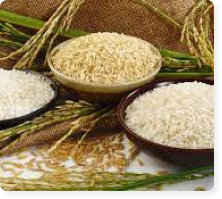 Rice Products